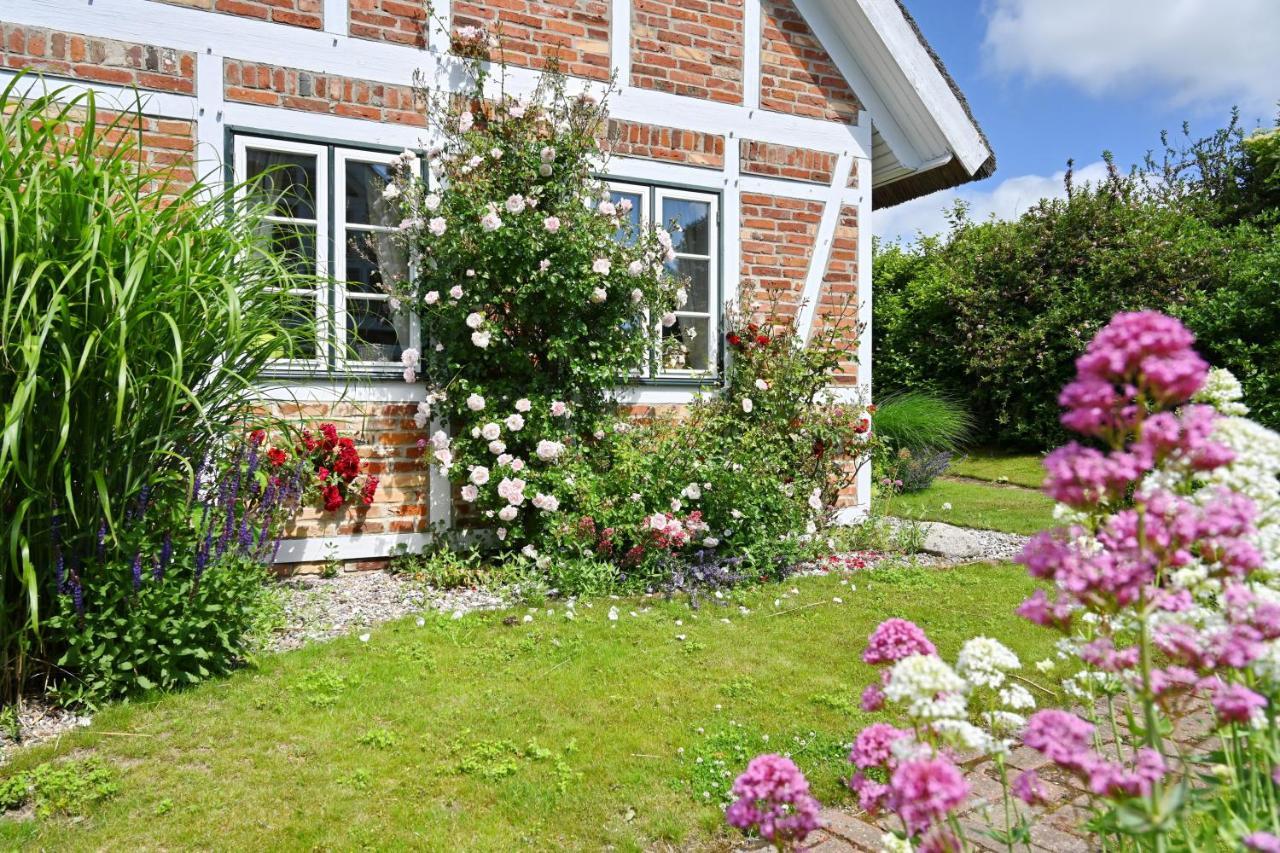 Landhaus Vilmnitz - Wohnung 1 Eksteriør billede